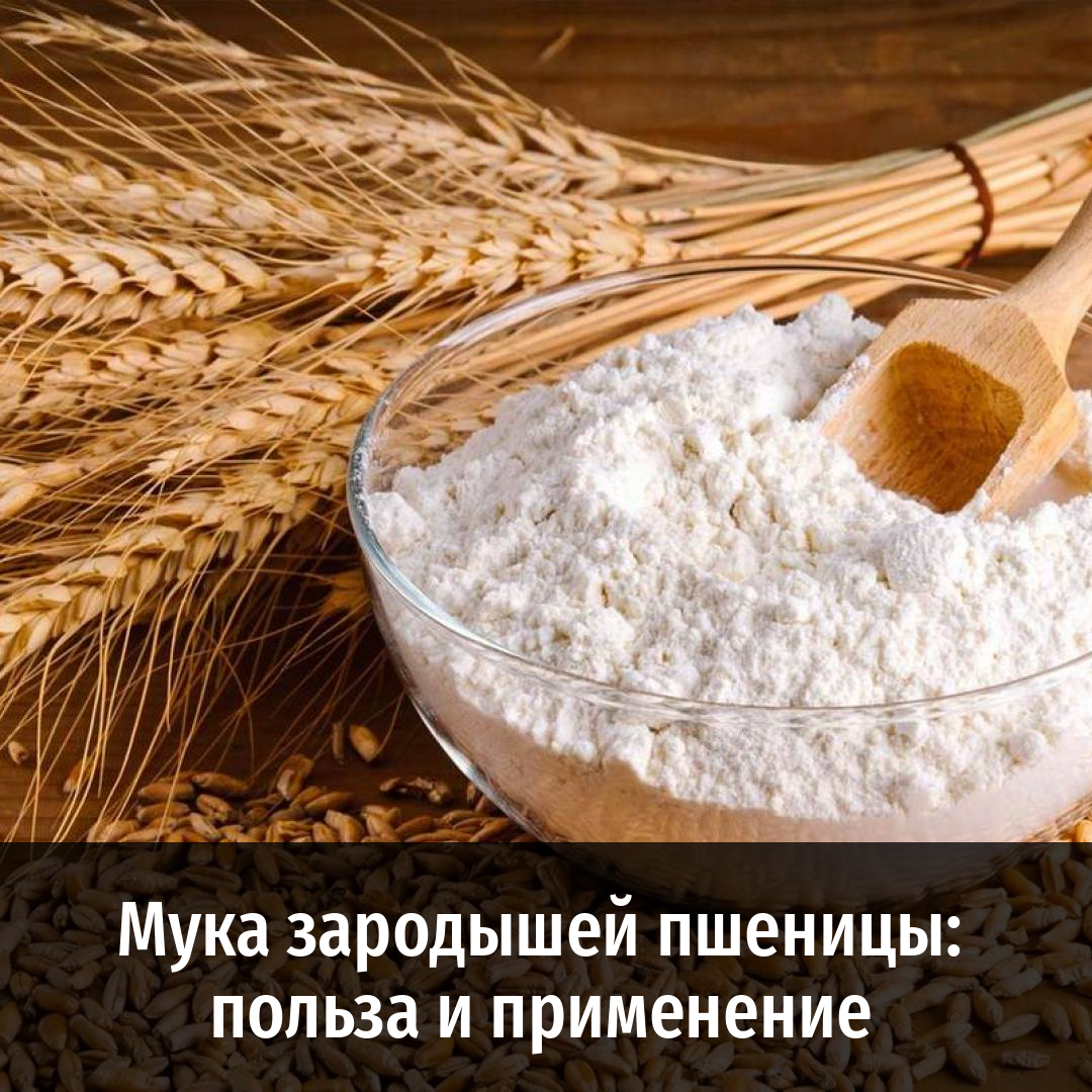 Мука зародышей пшеницы: польза и применение и другие полезные статьи от ...